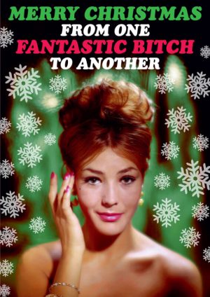 Merry Christmas Fantastic Bitch Card