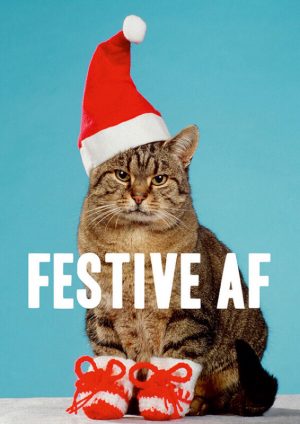 Festive Cat AF Xmas Card