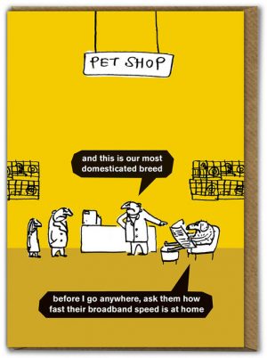 Dogs Pet Shop Modern Toss Card