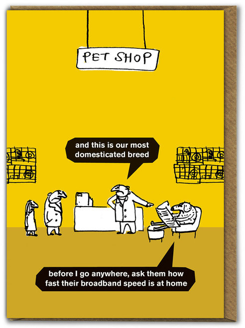 Dogs Pet Shop Modern Toss Card
