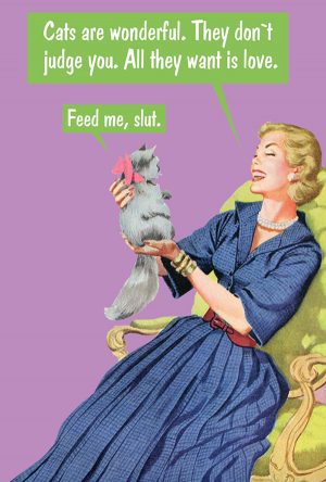 cat lovers funny birthday card