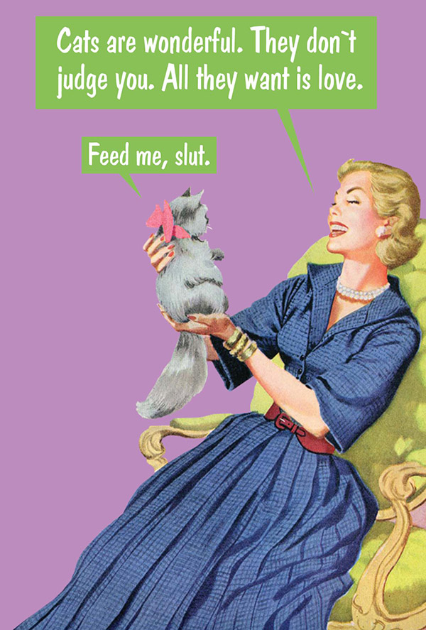 cat lovers funny birthday card