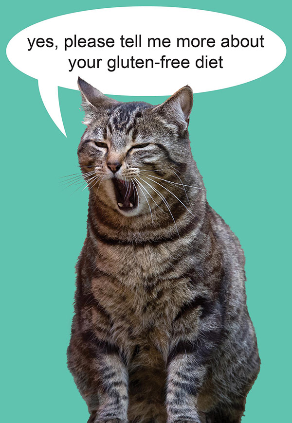 gluten free diet cat lovers card